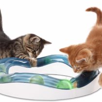 Catit Senses Speed Circuit