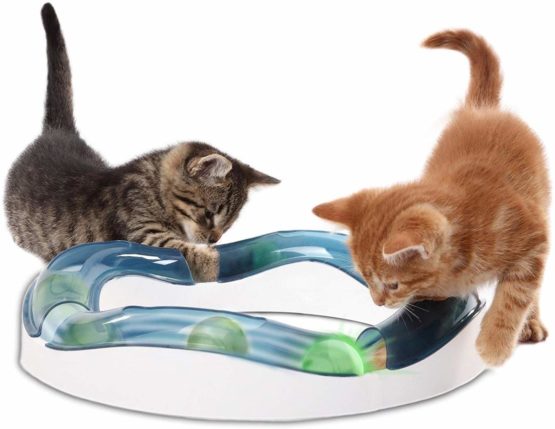 Catit Senses Speed Circuit