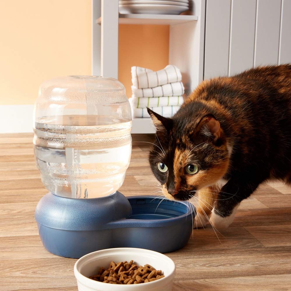 Petmate Replendish Waterers with Antimicrobial Microban, 0.5 gal, Blue - Image 2