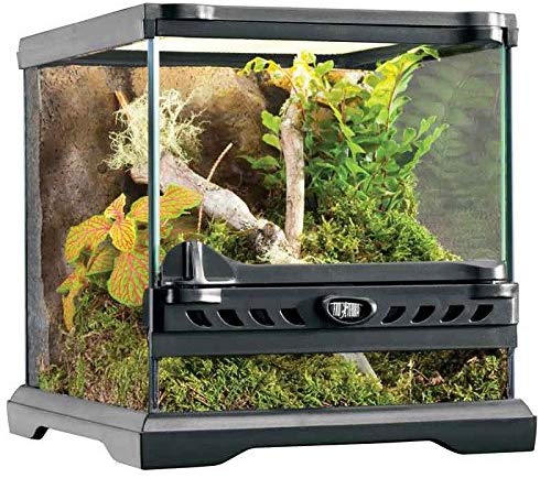 Exo Terra Glass Terrarium Kit, for Reptiles and Amphibians Nano, 8 x 8 x 8 inches, PT2599A1, Grey, 20 x 20 x 20 cm