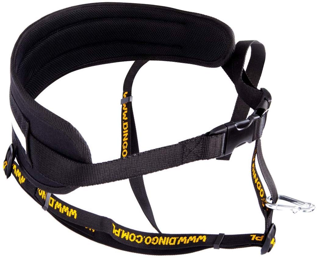 DINGO Canicross Belt 4-in-1 Universal, Adjustable, Safe, Reflective, Multifunctional