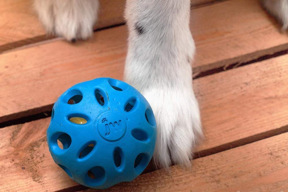 JW Crackle Ball Medium By Rubber Ball with A Plastic Bottled Heart for Dogs M, Assorted - Image 4
