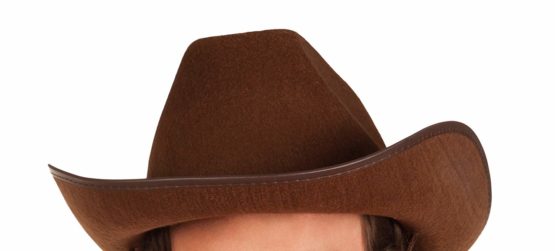 COWBOYHOED BRUIN - VARIOUS - Image 2