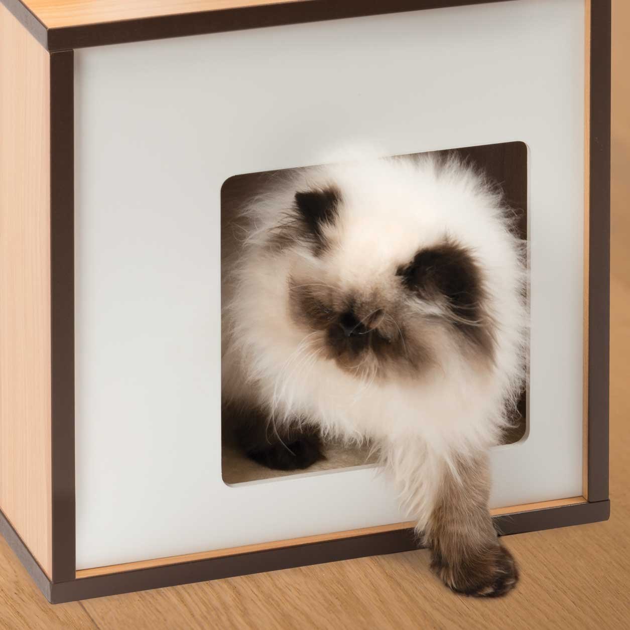 Vesper V-Box Cat Tree, Small in Walnut - Image 3
