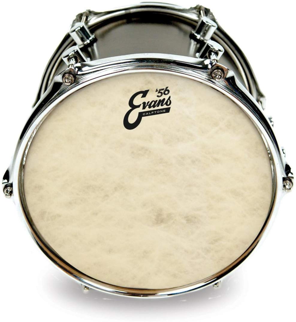 Evans Drum Heads - Calftone Tom Drumhead, 13 Inch, White - Image 3