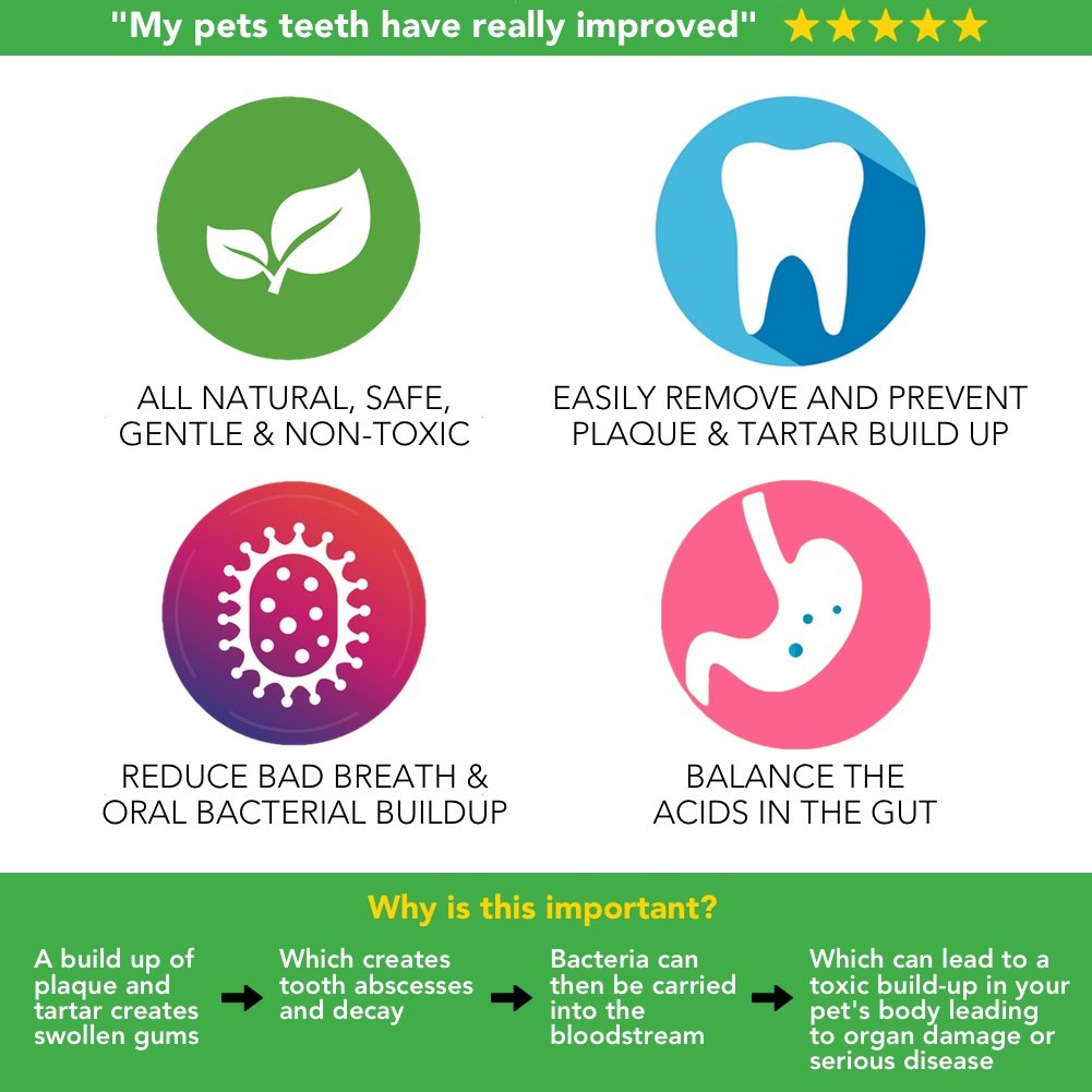 The Healthy Dog Co, Plaque Off Dogs, Natural Dog Breath Freshener, Reduce Plaque Buildup for Cats, Dog Dental Care Formula - Image 4