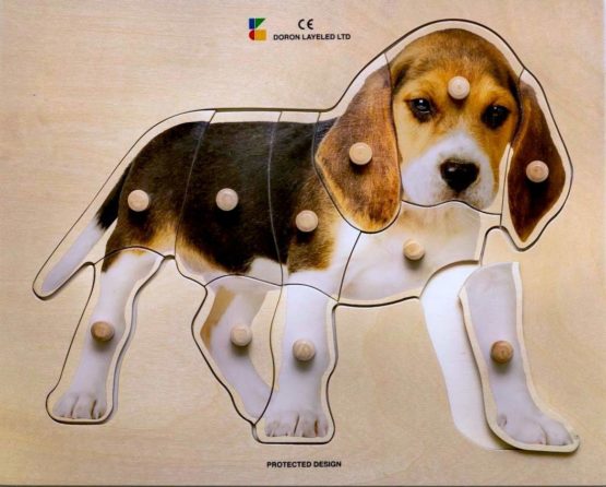 Doron Layeled E72510280, Large Photographic Wooden Peg Puzzle-Puppy, Multi - Image 2