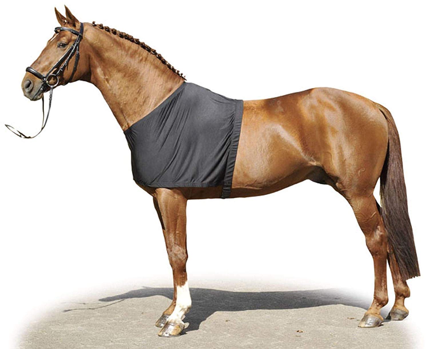 HKM Horse Rug 7938 Black XXS