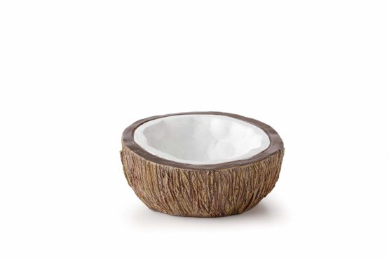 Exo Terra Tiki Coconut Water Dish