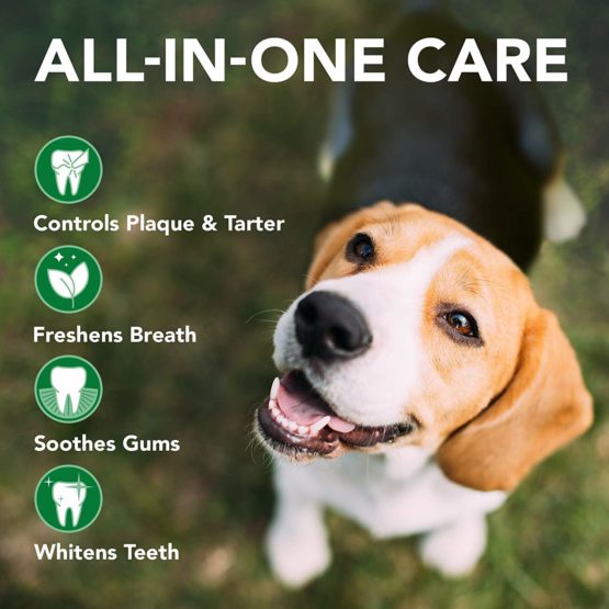 Vet's Best Dental Gel Toothpaste and Toothbrush Kit for Dogs - Image 3