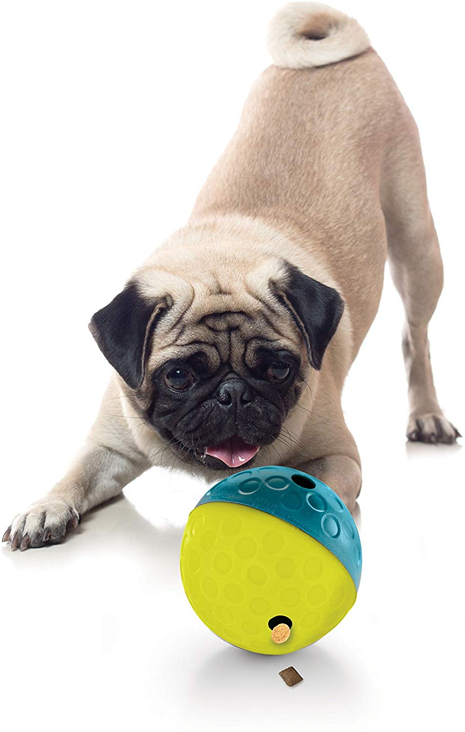 Outward Hound Nina Ottosson Interactive Dog Toys, Beginner Level 1 - Image 2