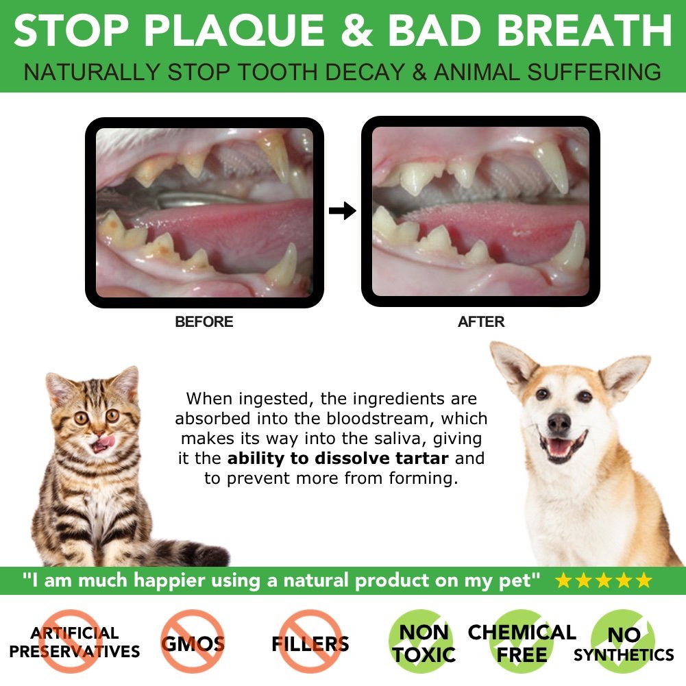 The Healthy Dog Co, Plaque Off Dogs, Natural Dog Breath Freshener, Reduce Plaque Buildup for Cats, Dog Dental Care Formula - Image 3