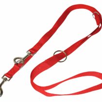 Croci Training Nylon Leash, 25 x 2200 mm, Rosso
