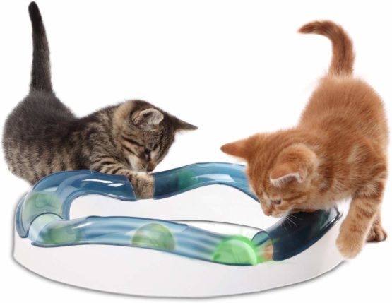 Catit Senses Speed Circuit - Image 2