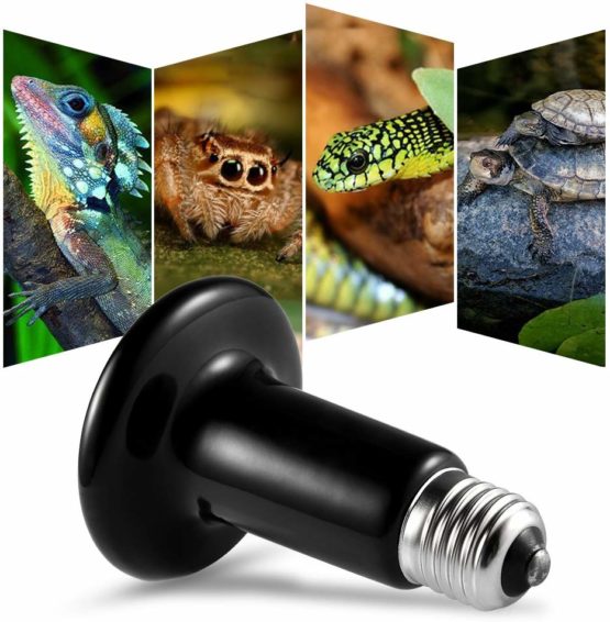 LEDGLE Terrarium Reptile Heat Bulb, Ceramic Heat Emitter 100w, E27 Infrared Ceramic Reptile Heater Pet Ceramic Heat Bulb for Reptiles/Lizards/Tortoise/Chicken - Image 4