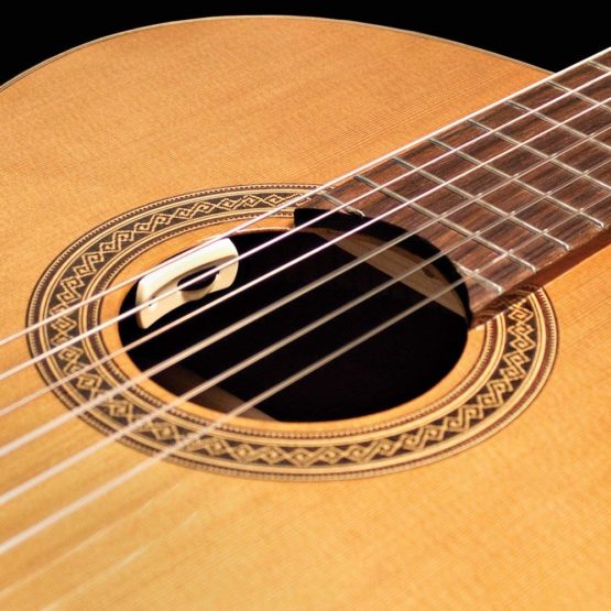 L.R. Baggs ANTHEM-SL-C Classical Guitar Pickup - Image 3