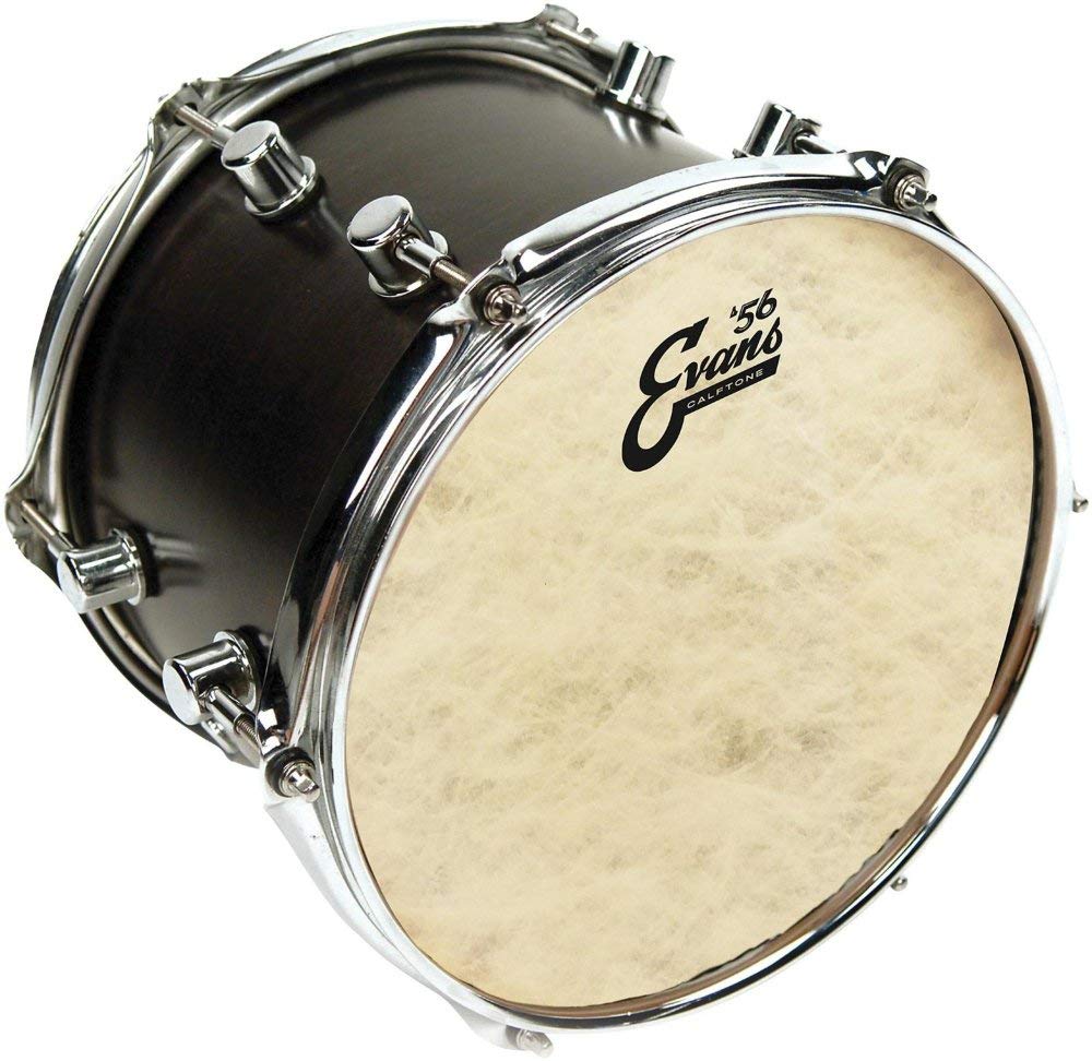 Evans Drum Heads - Calftone Tom Drumhead, 13 Inch, White - Image 2