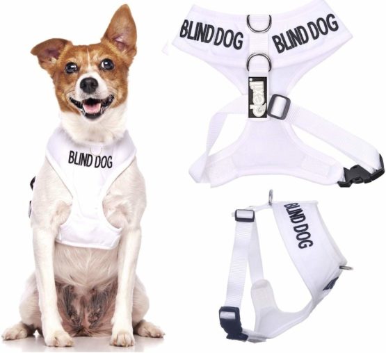 BLIND DOG (Dog Has Limited/No Sight) White Colour Coded Non-Pull Front and Back D Ring Padded and Waterproof Vest Dog Harness PREVENTS Accidents By Warning Others Of Your Dog In Advance (S)