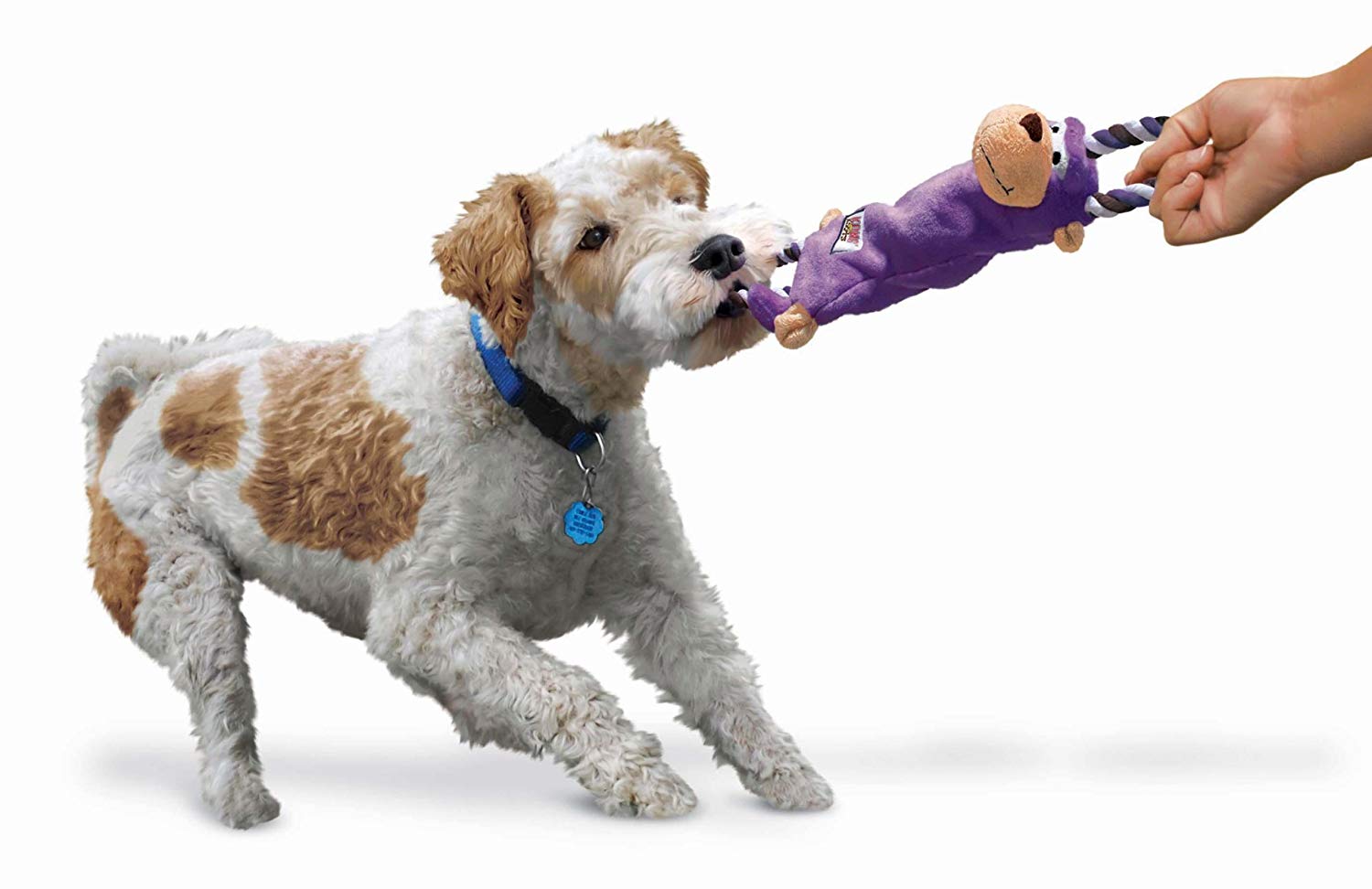 KONG - Tugger Knots Monkey - Tug of War Dog Toy, Minimal Stuffing and Looped Ropes for added Strength - For Small/Medium Dogs - Image 4