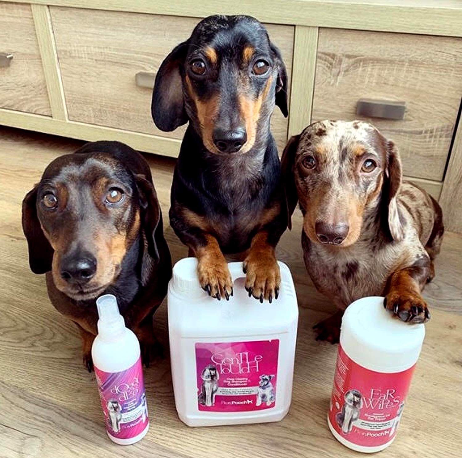 Pretty Pooch® Gentle Touch Dog Shampoo & Conditioner, 2 Litres (Baby Powder Fragrance), A Non-itchy - Image 3