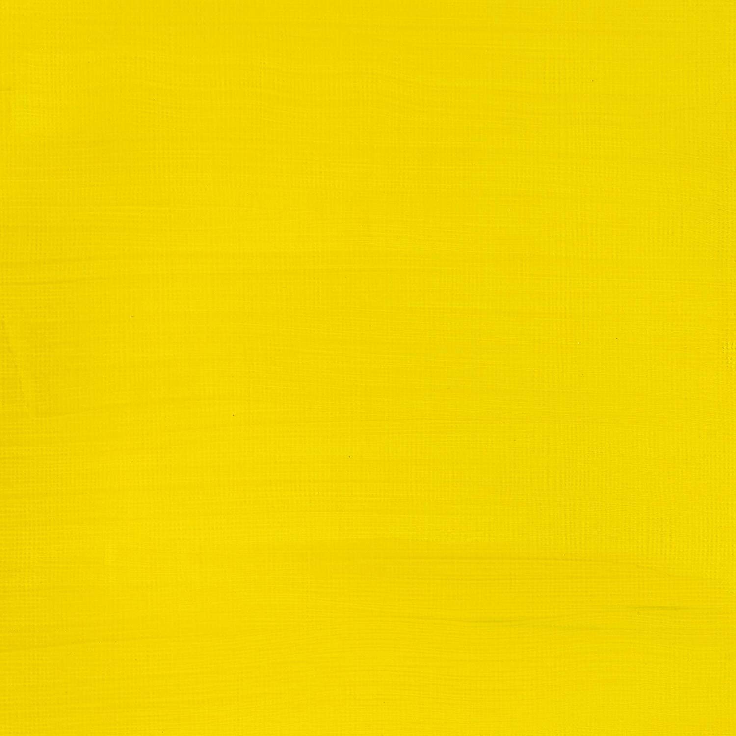 Winsor & Newton, Galeria Acrylic, Cadmium Yellow Pale Hue, 500ml, 500 ml (Pack of 1) - Image 2