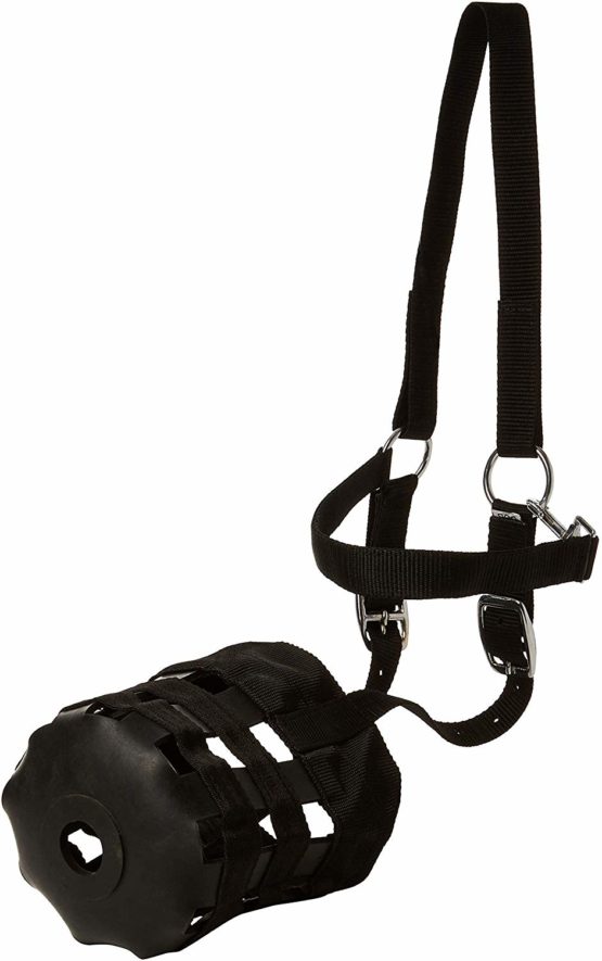 Cwell Equine NEW Nylon GRAZING MUZZLE Horse COB Or Pony Grass Muzzle BLACK (FULL)