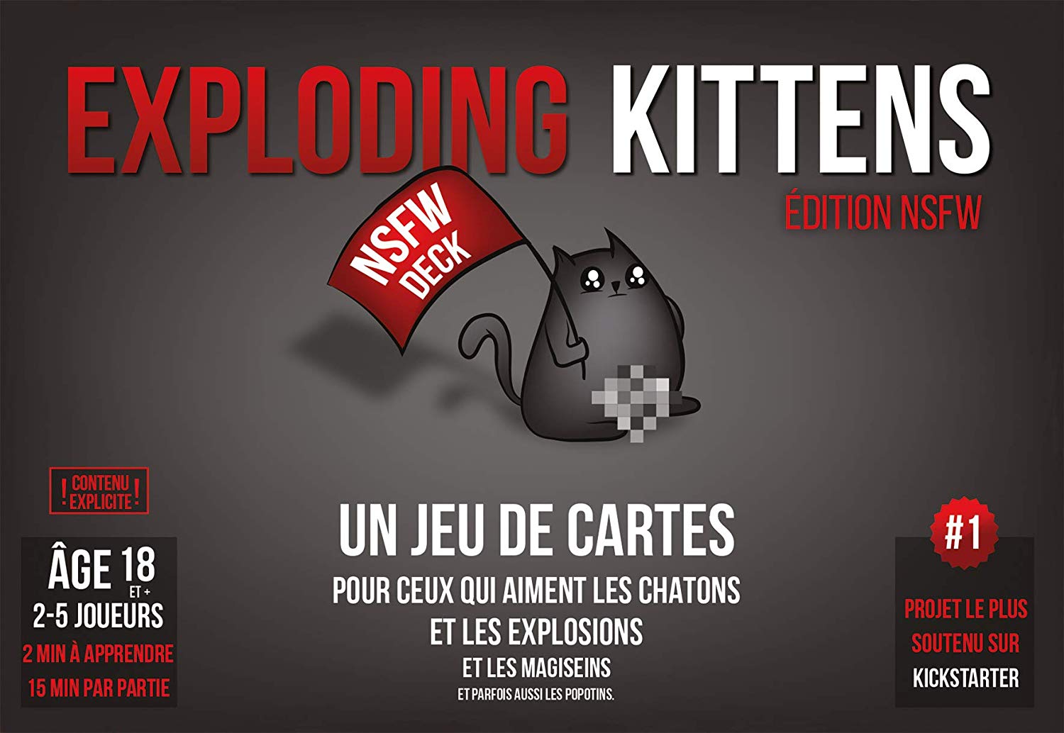Exploding Kittens : Edition NSFW, Multicolor - Image 2