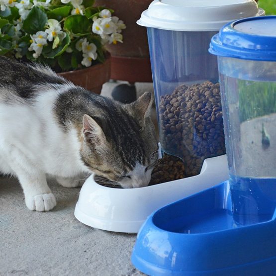 Ferplast Water Dispenser for Dogs and Cats NADIR Drinker 3 Litres for Small and Medium Sized Dogs, Transparent Tank With Lid, Sturdy Plastic, Non-Slip Bottom, 29,2 x 20,2 x h 28,8 cm White - Image 4