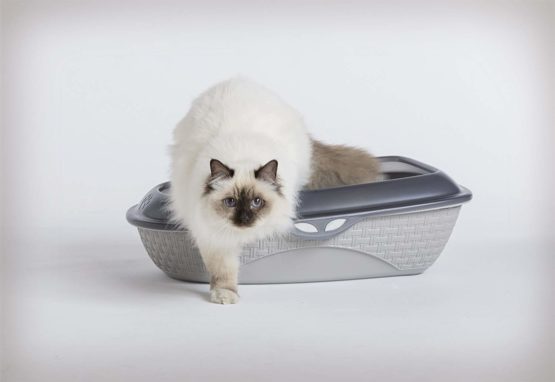 Bama Sand Litter Box, Assorted, 59.5 x 40 x 18 cm - Image 3