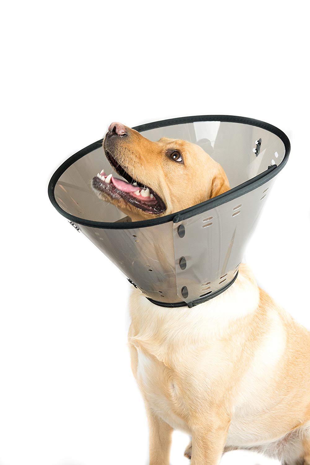 Smart Collar Size 3 Large (Neck 2938cm)Assortment BigaMart