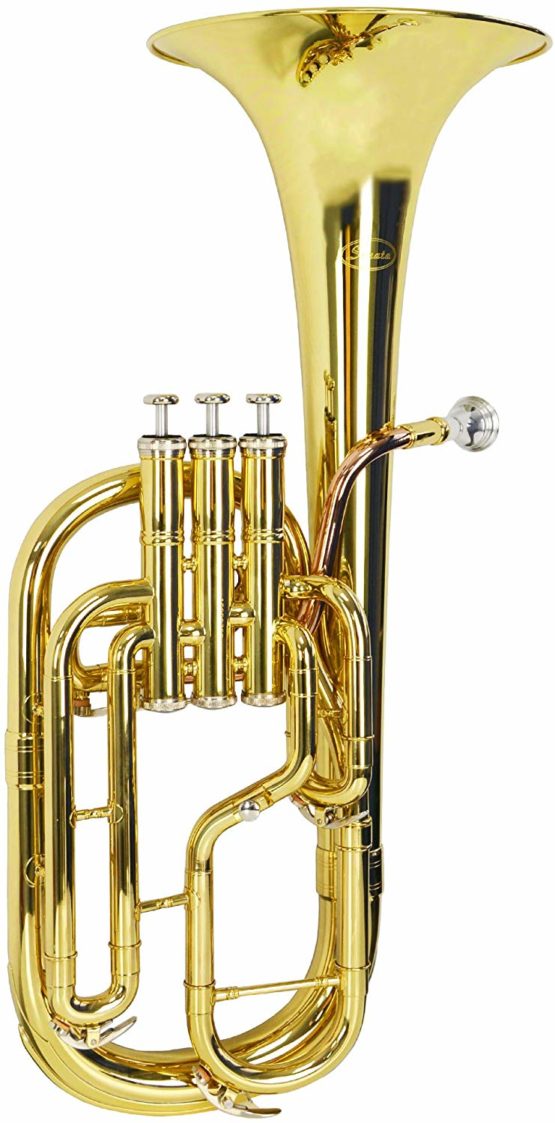 Montreux STH701 Sonata Student Eb Tenor Horn - Image 2