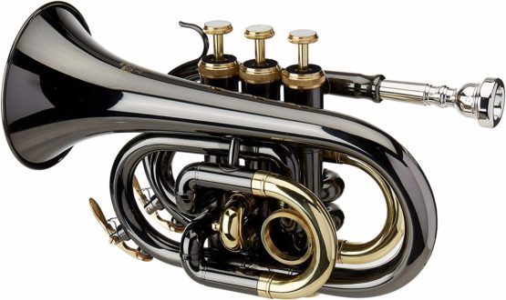 Roy Benson MOD-101K BB Black Lacquered Finish Pocket Trumpet with Light Rectangular Case - Image 2