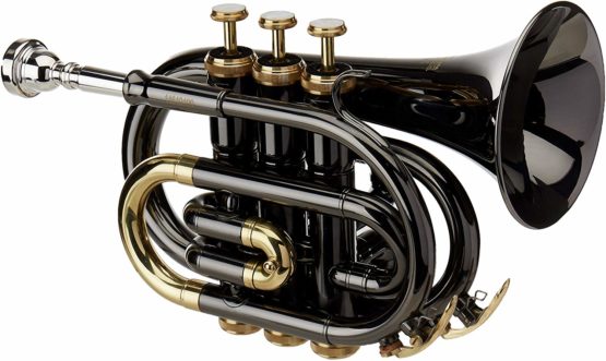 Roy Benson MOD-101K BB Black Lacquered Finish Pocket Trumpet with Light Rectangular Case