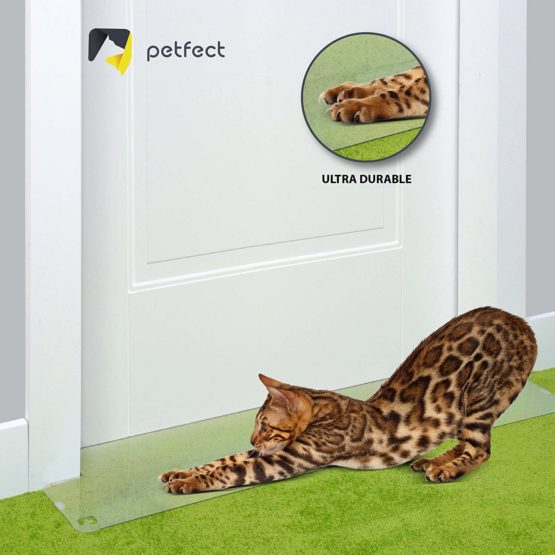 PROTECTO Carpet Cat Scratch Protector - 30 Inch Deterrent w/Slip Stopper Doorway Guard Design - Image 3