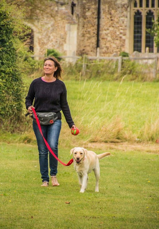 Outdoor Paws by Petface Dog Walkers Bum Bag - Image 2