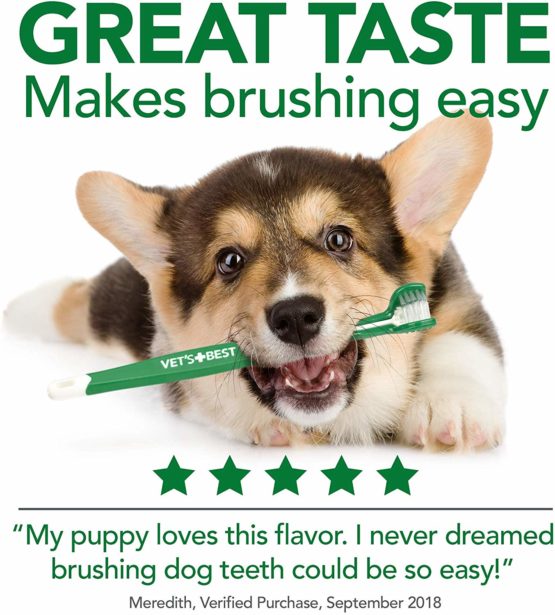 Vet's Best Dental Gel Toothpaste and Toothbrush Kit for Dogs - Image 4