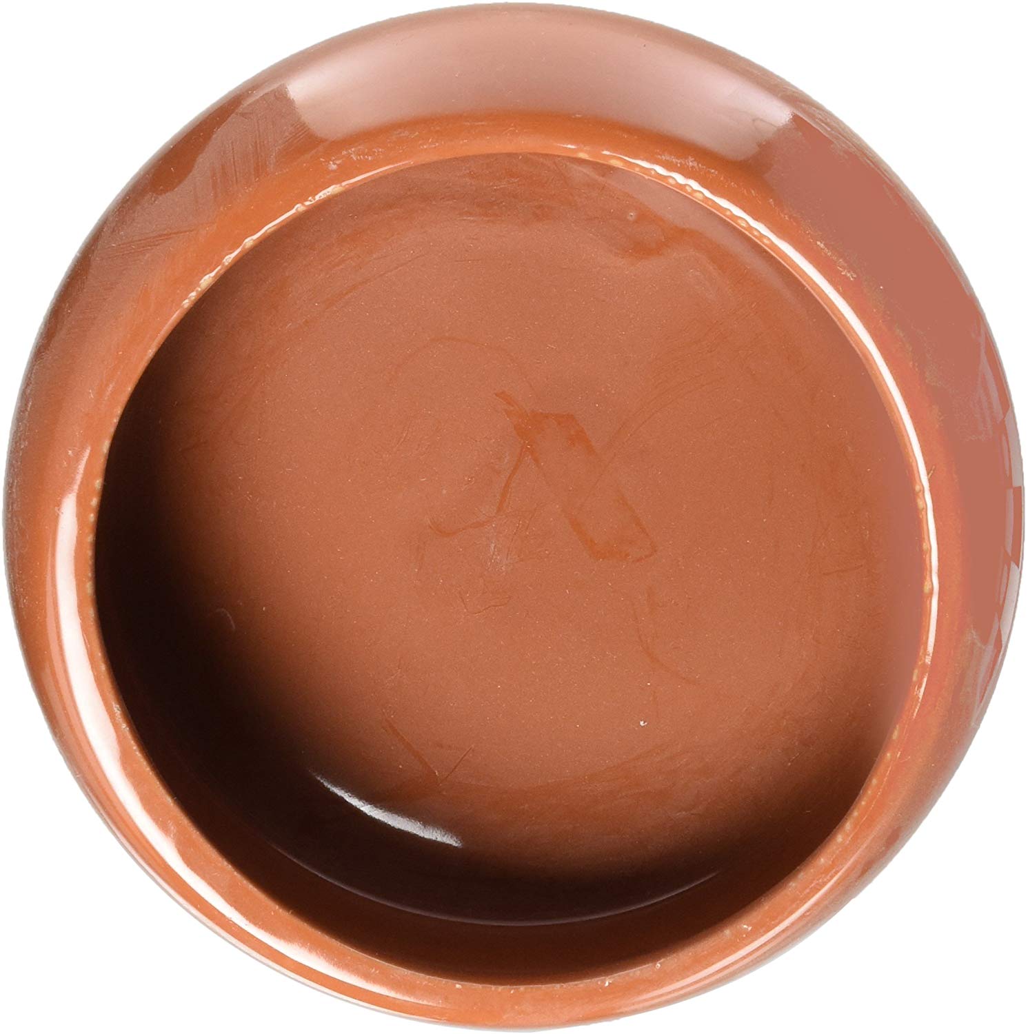 Living World Ergonomic Dish, Terracotta, Large - Image 2