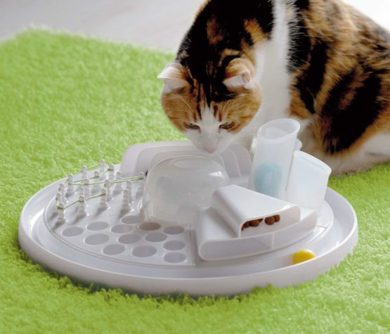 Edupet - Cat Toy, Cat Center, Interactive Toy, Intelligent cat toy - Image 2