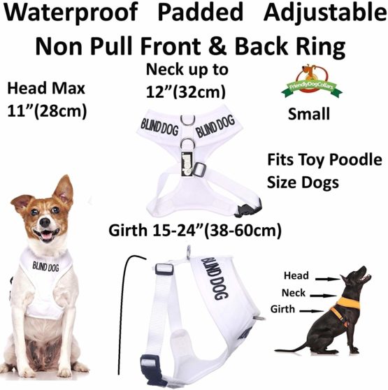 BLIND DOG (Dog Has Limited/No Sight) White Colour Coded Non-Pull Front and Back D Ring Padded and Waterproof Vest Dog Harness PREVENTS Accidents By Warning Others Of Your Dog In Advance (S) - Image 2