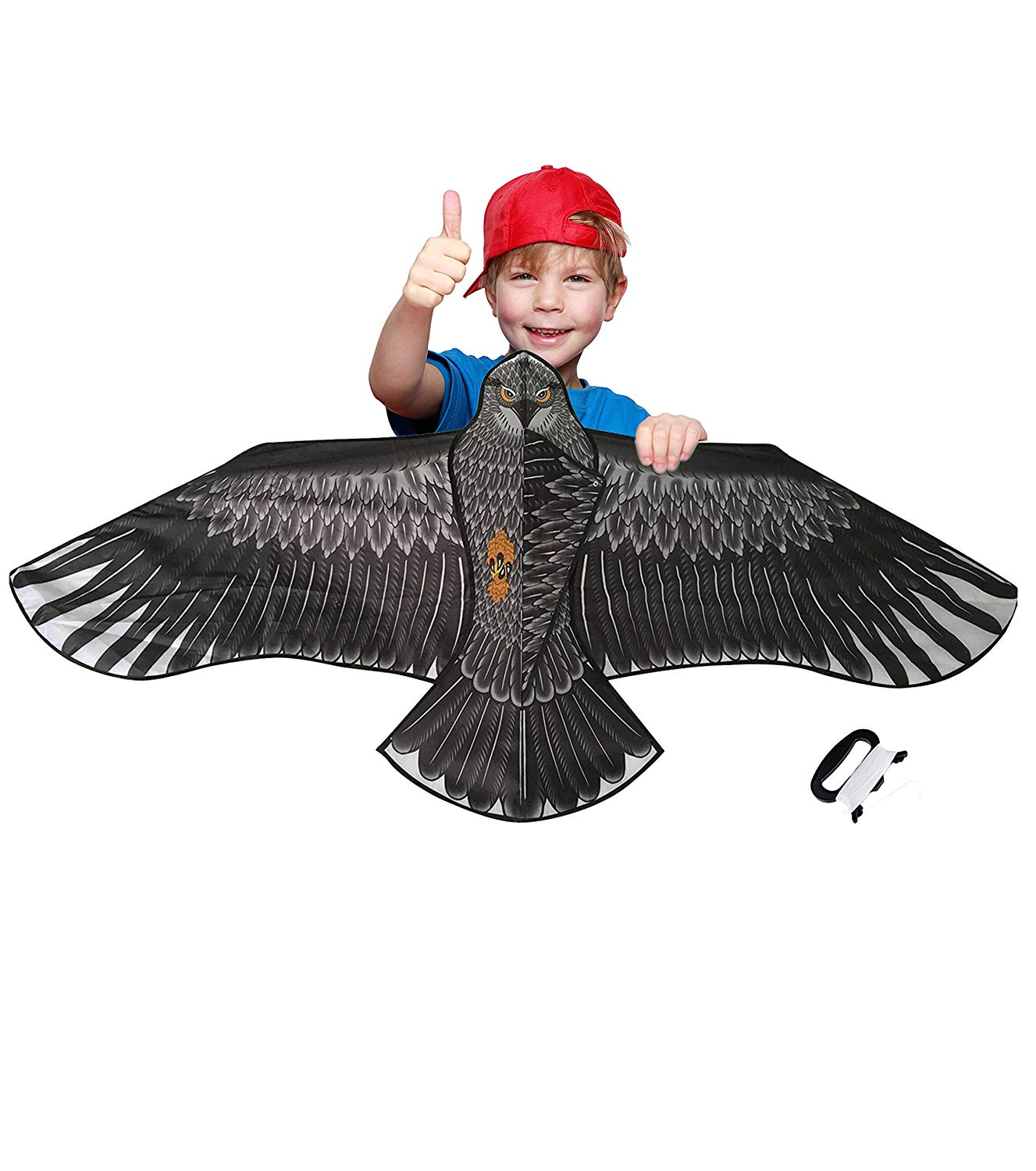 Large Eagle Bird Kite for Children & Adults Huge Wingspan and