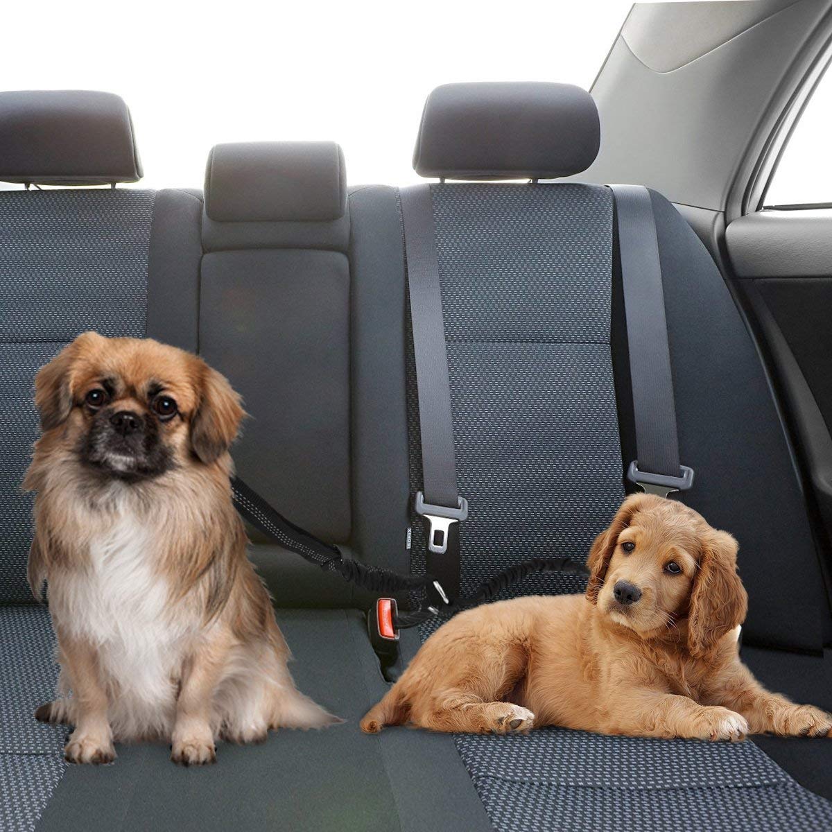 SlowTon Double Dog Seat Belt, Adjustable Elastic Dog Car Harness Seatbelt with Anti-Shock Bungee Buffer - Image 2