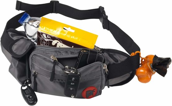 Outdoor Paws by Petface Dog Walkers Bum Bag