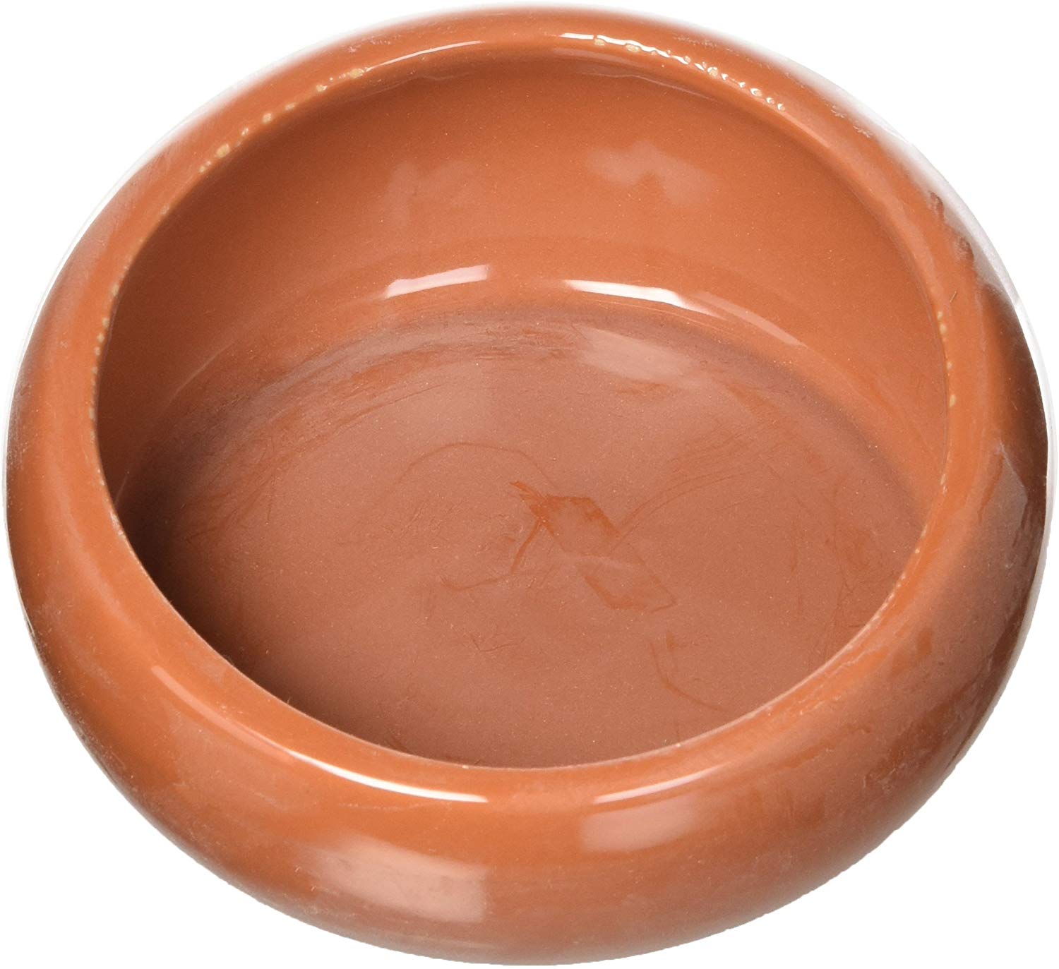 Living World Ergonomic Dish, Terracotta, Large