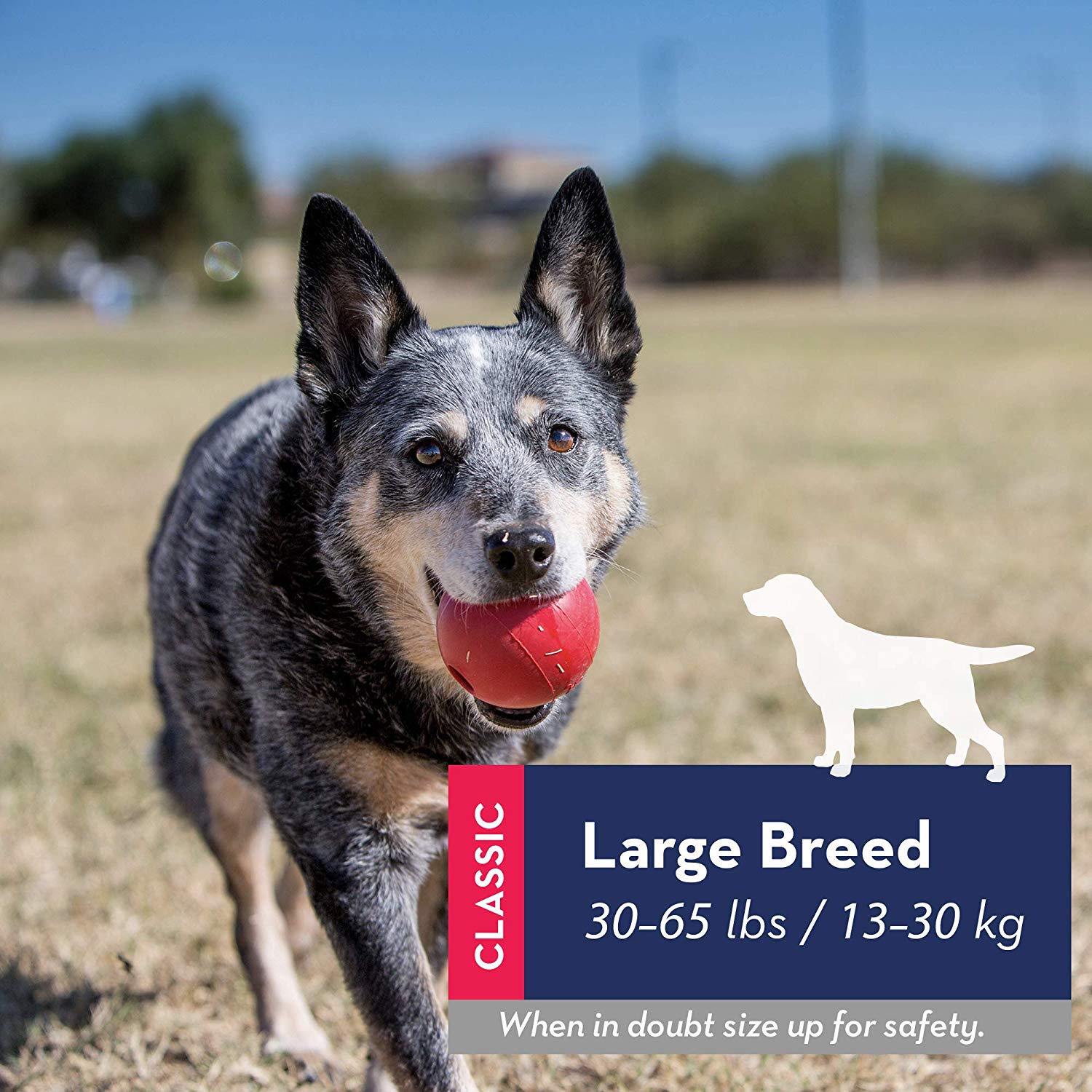 KONG Ball with Hole - Dog Fetch Toy - Classic Rubber Ball for Training and Playtime - For Large/Medium Dogs, Red - Image 3