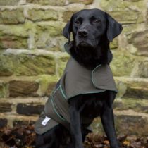 Dog & Field 2 in 1 Fully Waterproof Dog Coat - Microfiber Lined Drying Jacket - Keeps Your Dog Warm and Dry Whilst Wicking Moisture Away From Your Pets Fur - Sizes XS-XL (XXL)