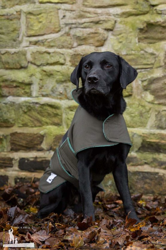 Dog & Field 2 in 1 Fully Waterproof Dog Coat - Microfiber Lined Drying Jacket - Keeps Your Dog Warm and Dry Whilst Wicking Moisture Away From Your Pets Fur - Sizes XS-XL (XXL)
