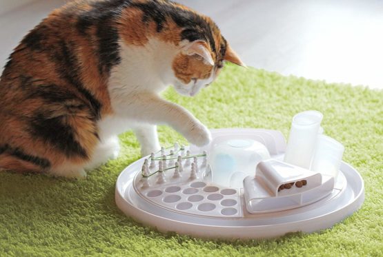 Edupet - Cat Toy, Cat Center, Interactive Toy, Intelligent cat toy - Image 4