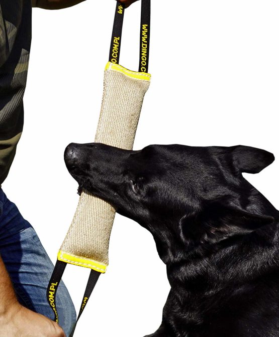 Dingo Jute Bite Tug With Two Handles For Tug Of War Play Dog Bite Training 10579