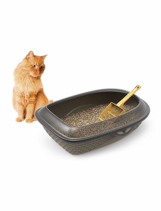 Bama Sand Litter Box, Assorted, 59.5 x 40 x 18 cm - Image 4