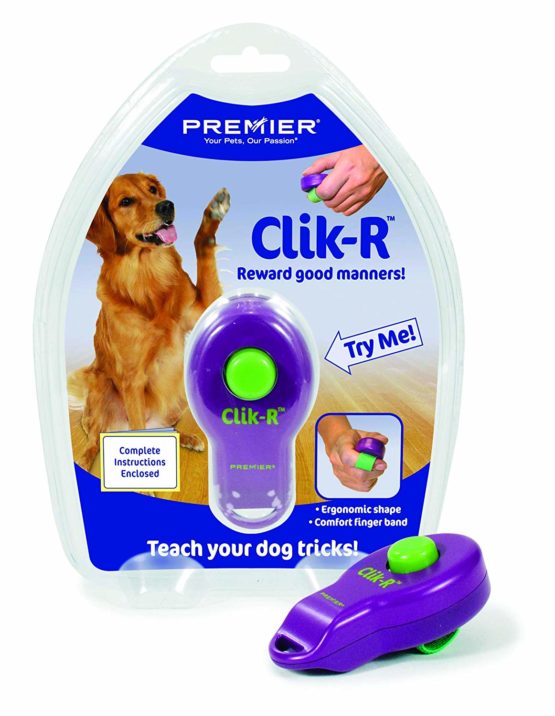 PetSafe Clik-R Training Tool, Obedience Aid, Clicker for Dogs - Image 3